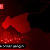 İslahiye de orman yangını İslahiye de orman yangını