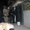 Çelik Yelekli Çeteye Şafak Baskını Çelik Yelekli Çeteye Şafak Baskını