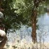 Son dakika: İçişleri Bakanlığı açıkladı! 1 terörist daha teslim oldu