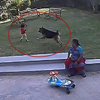 Köpek bir anda çocuğa saldırdı Köpek bir anda çocuğa saldırdı