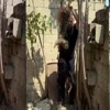 Kediye, köpekleriyle işkence yaptı Kediye, köpekleriyle işkence yaptı