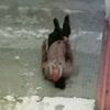 Buzlanan yolda ölümden böyle döndü Buzlanan yolda ölümden böyle döndü