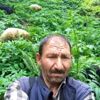 Hayvan otlatmaya gitti, tüfekle vurulmuş cesedi bulundu Hayvan otlatmaya gitti, tüfekle vurulmuş cesedi bulundu