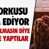 Serbest Piyasada Altın Fiyatları Serbest Piyasada Altın Fiyatları