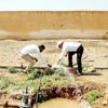Tel Abyad'da 138 köy, yıllar sonra suya kavuştu Tel Abyad'da 138 köy, yıllar sonra suya kavuştu