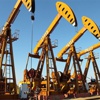 Petrol fiyatları düştükçe Çin kazanıyor Petrol fiyatları düştükçe Çin kazanıyor