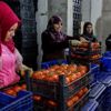 Tanzim satışlar hem üreticiyi hem de tüketiciyi sevindirdi Tanzim satışlar hem üreticiyi hem de tüketiciyi sevindirdi
