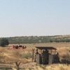 Sınırda Türk ve IŞİD bayrakları yan yana