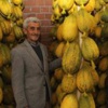 Babacan: Merkezin adımları isabetli Babacan: Merkezin adımları isabetli