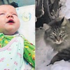 Donmak üzere olan bebeği, kedi kurtardı Donmak üzere olan bebeği, kedi kurtardı