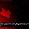 68 yıllık semer ustasının sırrı, hayvanlara gösterdiği ... 68 yıllık semer ustasının sırrı, hayvanlara gösterdiği ...