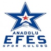 Anadolu Efes'ten paket bilet kampanyası