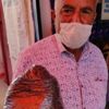 Dağdan topladıkları menengiçle geçimlerini sağlıyorlar Dağdan topladıkları menengiçle geçimlerini sağlıyorlar
