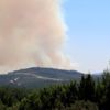 Hatay'da orman yangını