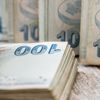 270 milyon Euro kredi böyle battı 270 milyon Euro kredi böyle battı