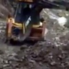 Sakarya'daki doğa katliamı belgelendi ! Sakarya'daki doğa katliamı belgelendi !
