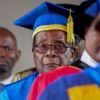 Zimbabve'de darbeci ordu Mugabe'yi iknaya çalışıyor