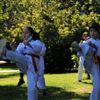 Öğrencileri için parkı karate sınıfına çevirdi