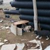 Sokak köpekleri ölüme terk edildi Sokak köpekleri ölüme terk edildi