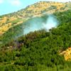 Afyonkarahisar daki orman yangını (2)