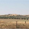 IŞİD hendek kazmaya devam ediyor IŞİD hendek kazmaya devam ediyor
