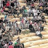 Amfi tiyatroda infaz vahşeti