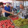 Organik Tarım Çiftçinin Umudu Oldu Organik Tarım Çiftçinin Umudu Oldu
