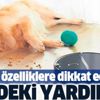 Evdeki yardımcı Evdeki yardımcı