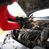Araç motoruna giren inatçı yavru kedi itfaiye ekiplerince ... Araç motoruna giren inatçı yavru kedi itfaiye ekiplerince ...