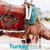 "Turkey" hesabından skandal paylaşım