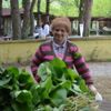 Ot yemekleri festivali başladı Ot yemekleri festivali başladı