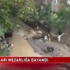 Timsahlar sokaklara indi Timsahlar sokaklara indi