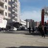 Hayvan otlatan gençlerin üzerine yıldırım düştü: 1 ölü, 1 yaralı