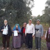 Aydın Defterdarlığı zeytinliklerden işgaliye istedi