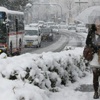 Japonya kara teslim