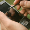 Palm küllerinden doğuyor Palm küllerinden doğuyor