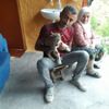 Tunceli'de bulunan yavru dağ keçisi annesine kavuştu Tunceli'de bulunan yavru dağ keçisi annesine kavuştu