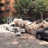 Meksika yine sallandı!