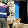 Diyarbakır'da uyuşturucu operasyonu: 10 kişi tutuklandı Diyarbakır'da uyuşturucu operasyonu: 10 kişi tutuklandı