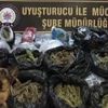 Mersin'de 13 torbacı tutuklandı Mersin'de 13 torbacı tutuklandı