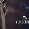 Florya'dan aslanı söküp metrobüsle eve götürdüler!