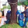 Milletvekili suikastı mafya hesaplaşması çıktı Milletvekili suikastı mafya hesaplaşması çıktı
