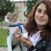İşkence edilen sokak kedisini sahiplenip sağlığına kavuşturdu İşkence edilen sokak kedisini sahiplenip sağlığına kavuşturdu