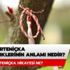 Marteniçka nereden alınır? Marteniçka renklerinin anlamı nedir? Marteniçka hikayesi ne? Marteniçka nereden alınır? Marteniçka renklerinin anlamı nedir? Marteniçka hikayesi ne?