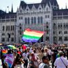 Macaristan hükümeti eşcinsel çiftlerin evlat edinmesini yasaklamak istiyor