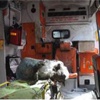 Molotof ambulansa isabet etti
