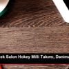 A Milli Erkek Salon Hokey Milli Takımı, Danimarka ...