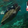 Galapagos’a gitmek ya da gitmemek Galapagos’a gitmek ya da gitmemek