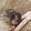 Sivas Kangalı'nı baltayla durdurdu Sivas Kangalı'nı baltayla durdurdu