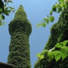 Minare yeşile boyandı